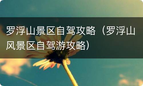 罗浮山景区自驾攻略（罗浮山风景区自驾游攻略）