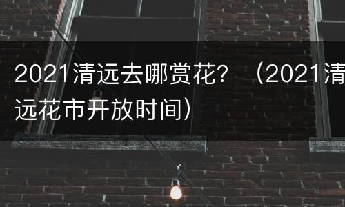 2021清远去哪赏花？（2021清远花市开放时间）