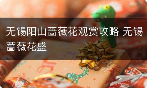 无锡阳山蔷薇花观赏攻略 无锡蔷薇花盛