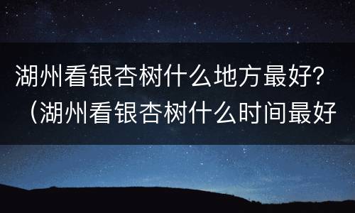 湖州看银杏树什么地方最好？（湖州看银杏树什么时间最好）