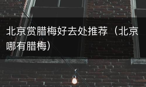 北京赏腊梅好去处推荐（北京哪有腊梅）