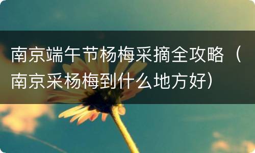 南京端午节杨梅采摘全攻略（南京采杨梅到什么地方好）
