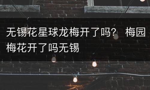 无锡花星球龙梅开了吗？ 梅园梅花开了吗无锡