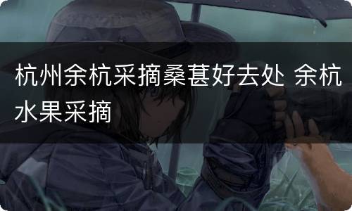 杭州余杭采摘桑葚好去处 余杭水果采摘