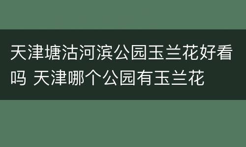 天津塘沽河滨公园玉兰花好看吗 天津哪个公园有玉兰花