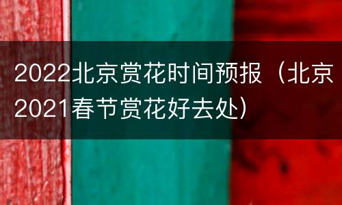 2022北京赏花时间预报（北京2021春节赏花好去处）