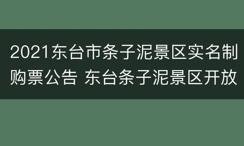 2021东台市条子泥景区实名制购票公告 东台条子泥景区开放了吗