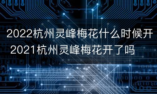 2022杭州灵峰梅花什么时候开 2021杭州灵峰梅花开了吗