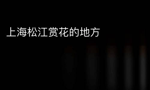 上海松江赏花的地方