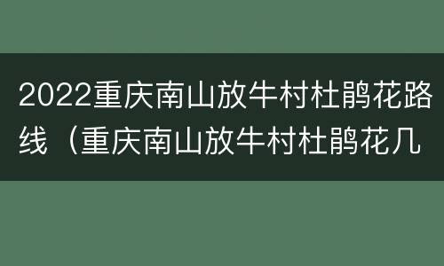 2022重庆南山放牛村杜鹃花路线（重庆南山放牛村杜鹃花几时开）