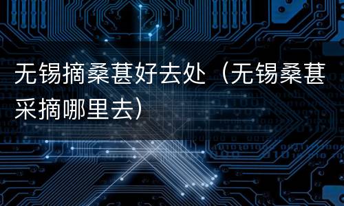 无锡摘桑葚好去处（无锡桑葚采摘哪里去）