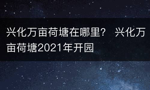 兴化万亩荷塘在哪里？ 兴化万亩荷塘2021年开园