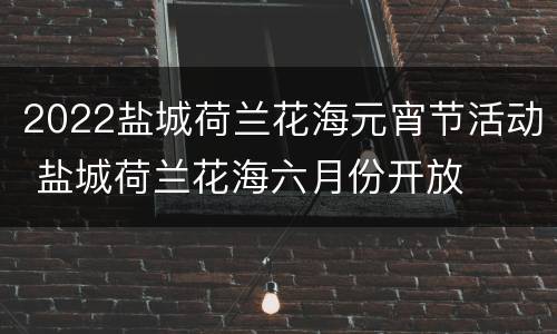 2022盐城荷兰花海元宵节活动 盐城荷兰花海六月份开放