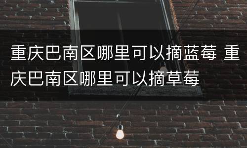 重庆巴南区哪里可以摘蓝莓 重庆巴南区哪里可以摘草莓