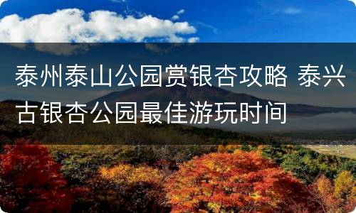 泰州泰山公园赏银杏攻略 泰兴古银杏公园最佳游玩时间
