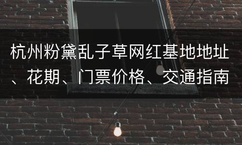 杭州粉黛乱子草网红基地地址、花期、门票价格、交通指南
