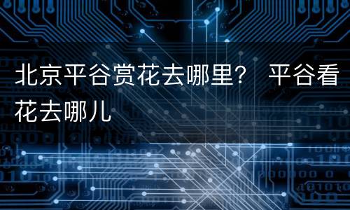 北京平谷赏花去哪里？ 平谷看花去哪儿