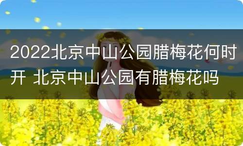 2022北京中山公园腊梅花何时开 北京中山公园有腊梅花吗