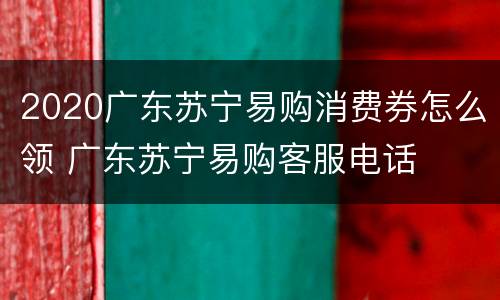 2020广东苏宁易购消费券怎么领 广东苏宁易购客服电话