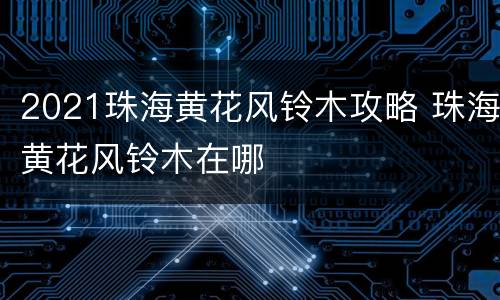 2021珠海黄花风铃木攻略 珠海黄花风铃木在哪