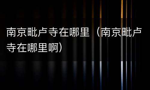 南京毗卢寺在哪里（南京毗卢寺在哪里啊）