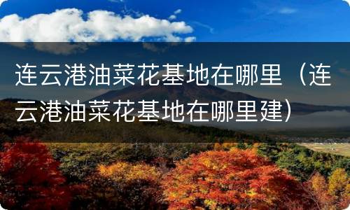 连云港油菜花基地在哪里（连云港油菜花基地在哪里建）