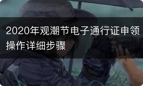 2020年观潮节电子通行证申领操作详细步骤