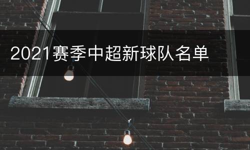 2021赛季中超新球队名单