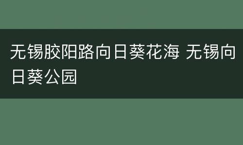 无锡胶阳路向日葵花海 无锡向日葵公园