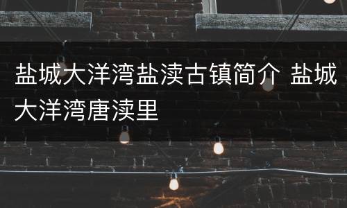 盐城大洋湾盐渎古镇简介 盐城大洋湾唐渎里