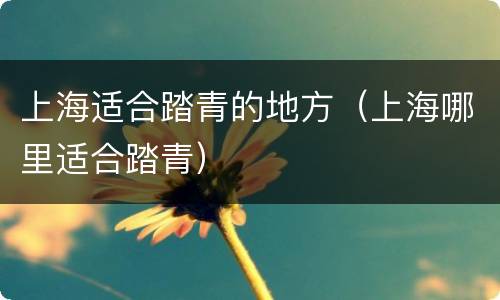 上海适合踏青的地方（上海哪里适合踏青）