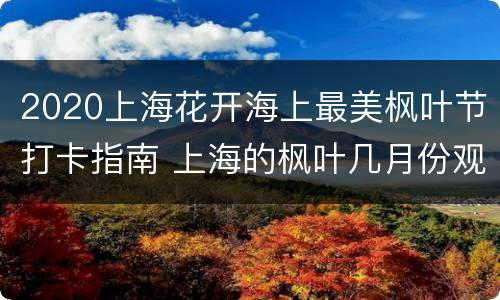 2020上海花开海上最美枫叶节打卡指南 上海的枫叶几月份观赏