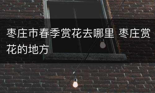 枣庄市春季赏花去哪里 枣庄赏花的地方