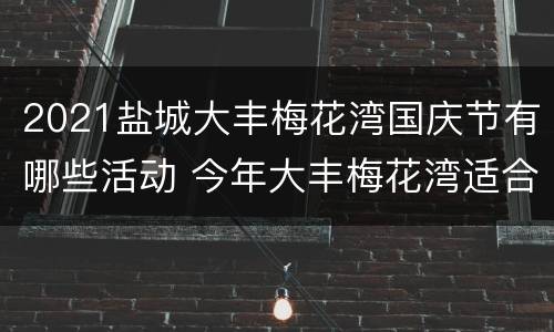 2021盐城大丰梅花湾国庆节有哪些活动 今年大丰梅花湾适合几月去