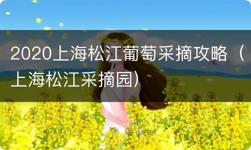 2020上海松江葡萄采摘攻略（上海松江采摘园）