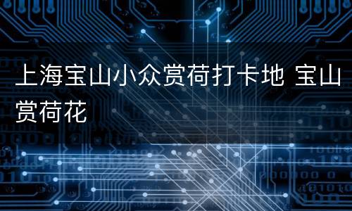 上海宝山小众赏荷打卡地 宝山赏荷花