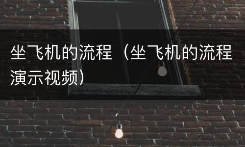 坐飞机的流程（坐飞机的流程演示视频）