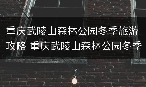 重庆武陵山森林公园冬季旅游攻略 重庆武陵山森林公园冬季旅游攻略图