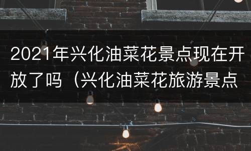 2021年兴化油菜花景点现在开放了吗（兴化油菜花旅游景点在哪里）