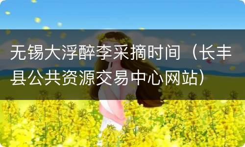 无锡大浮醉李采摘时间（长丰县公共资源交易中心网站）