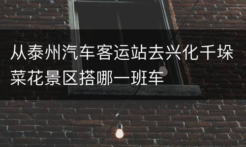 从泰州汽车客运站去兴化千垛菜花景区搭哪一班车