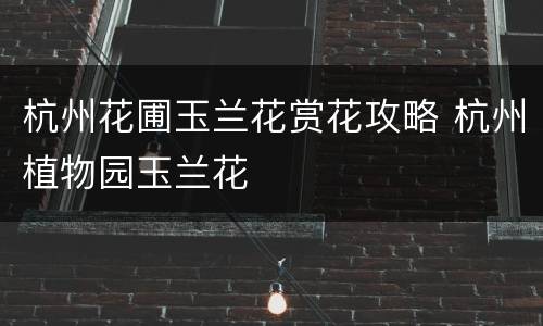 杭州花圃玉兰花赏花攻略 杭州植物园玉兰花