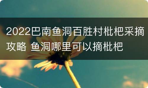 2022巴南鱼洞百胜村枇杷采摘攻略 鱼洞哪里可以摘枇杷