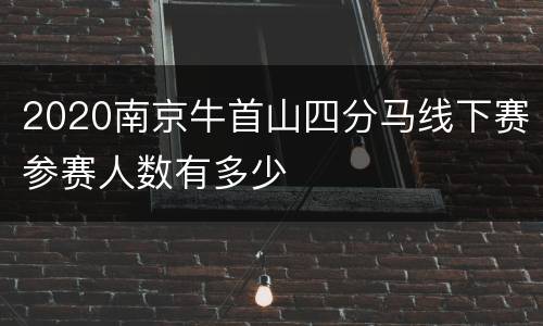 2020南京牛首山四分马线下赛参赛人数有多少