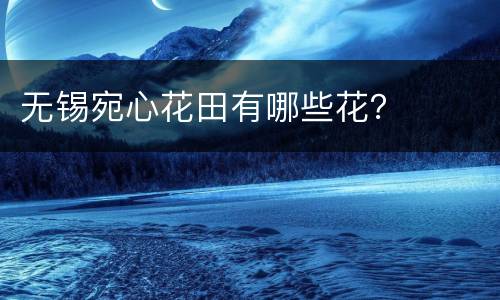 无锡宛心花田有哪些花？