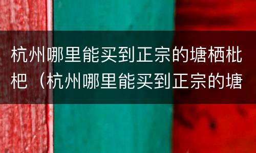 杭州哪里能买到正宗的塘栖枇杷（杭州哪里能买到正宗的塘栖枇杷苗）