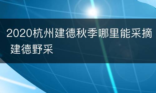 2020杭州建德秋季哪里能采摘 建德野采