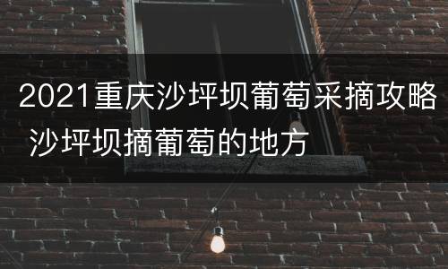 2021重庆沙坪坝葡萄采摘攻略 沙坪坝摘葡萄的地方