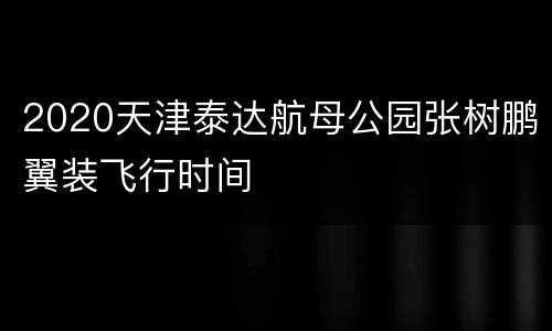 2020天津泰达航母公园张树鹏翼装飞行时间