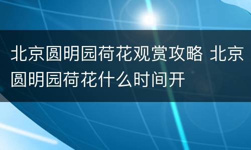 北京圆明园荷花观赏攻略 北京圆明园荷花什么时间开